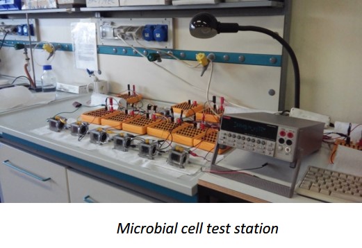 Microbial cell test station